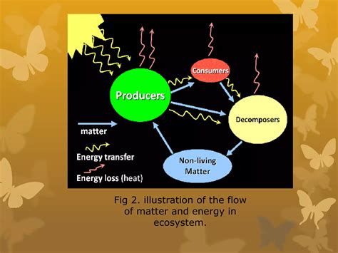 Image result for Ecosystem Structure and Function