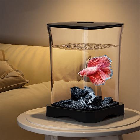 LED Light Desktop Mini Fish Tank 的图像结果