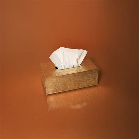 Gilded Grace Tissue Box – ANOM STUDIO ATELIER