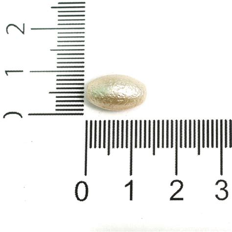 13X7mm Off White Pearl Coated Acrylic Beads