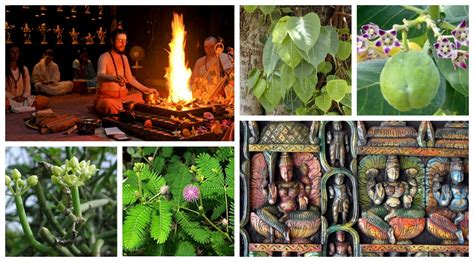 Concepts of Botany in Vedic India - Campus Chronicle