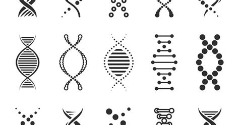 DNA Sequencing - Evolutionary Biology — Teletype