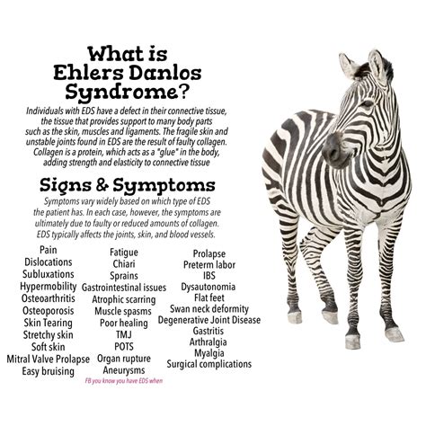 Ehlers Danlos Syndrome Test