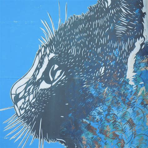 FRESQUE LE CHAT BLEU (2025) All You Need to Know BEFORE You Go (with ...