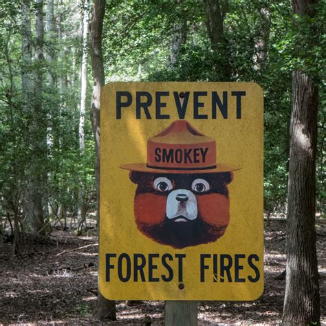 seldom seen: Retro Smokey the Bear Sign