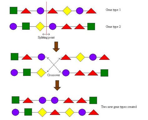 Heredity & Evolution
