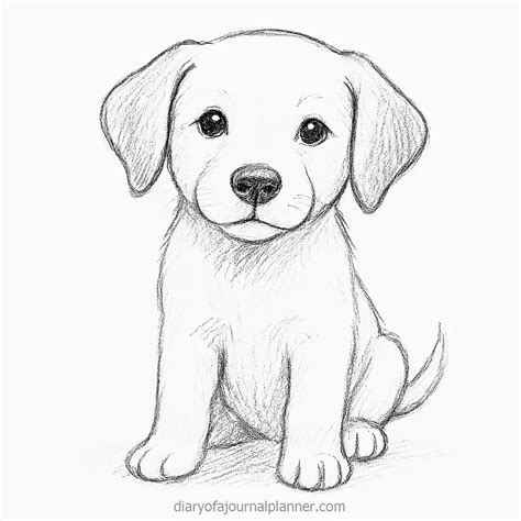 Cute Dog Drawing Ideas That'll Melt Your Heart (2026) | Cute dog ...