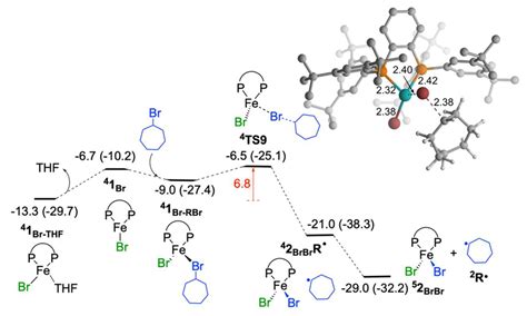 A DFT Study on FeI/FeII/FeIII Mechanism of the Cross-Coupling between ...