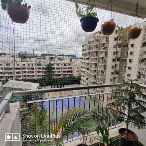 Alpine Eco Apartments in Doddanekkundi, Bangalore- Reviews, Photos ...
