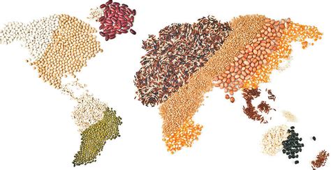 Our Presence, Find an IFFCO Near You, Fertilizer Production