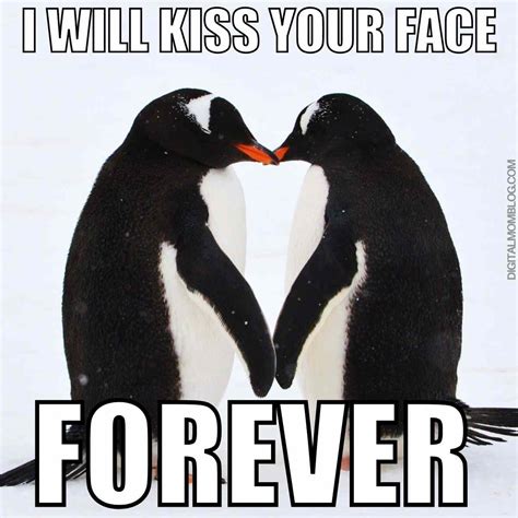 30 Kissing Memes That Perfectly Define Relationship Goals