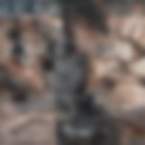 Image result for Evolution Process