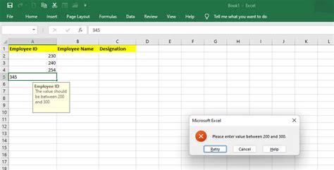 How to Validate in Excel 的图像结果