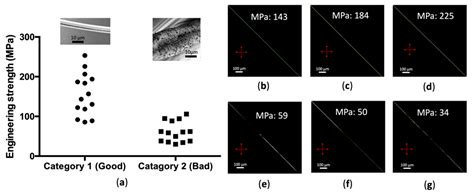 An Image-Analysis-Based Method for the Prediction of Recombinant ...