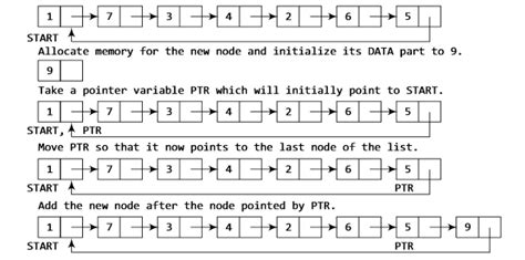 Circular Linked List Algorithm 的图像结果