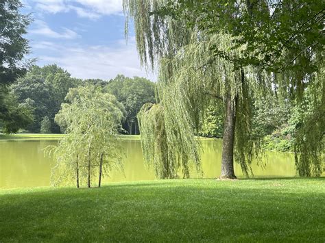 Donald M Kendall Sculpture Gardens at PepsiCo in Purchase, New York ...