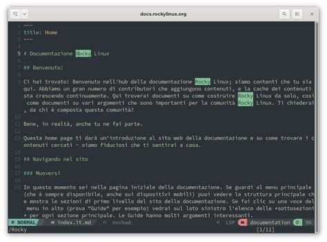 Using NvChad - Documentation
