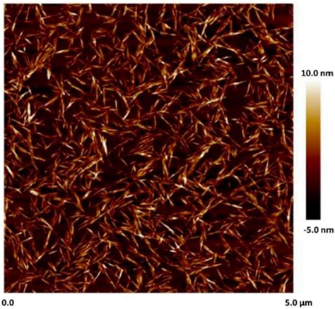 Influence of Added Cellulose Nanocrystals on the Rheology of Polymers