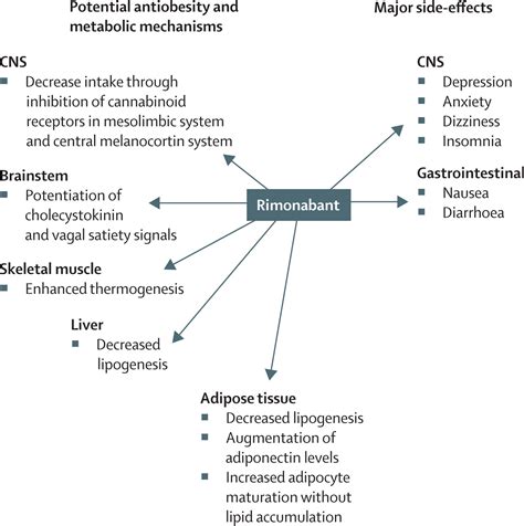 Drug treatments for obesity: orlistat, sibutramine, and rimonabant - The Lancet