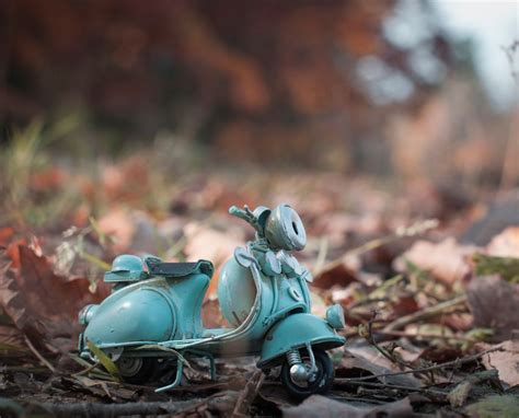 Scale Miniatures 的图像结果