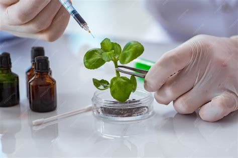 Biotechnology Scientist 的图像结果