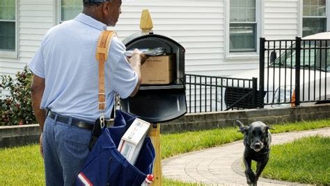 Dogs in these Florida cities attack USPS postal workers the most | FOX ...