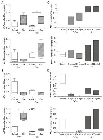The Systemic Immune Response to Collagen-Induced Arthritis and the ...