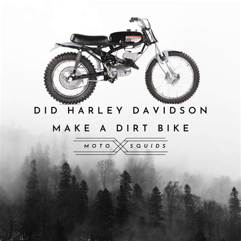 Harley Turn Signal Module Problems 的图像结果