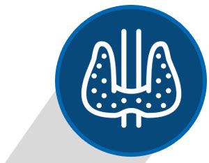 Top endocrinologist Hospital in Delhi | Kailash Deepak Hospital