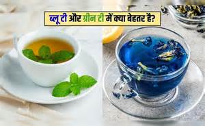 ग्रीन टी या ब्लू टी कौन सी बेहतर है? Blue Tea किसके लिए अच्छी है, जानिए ...