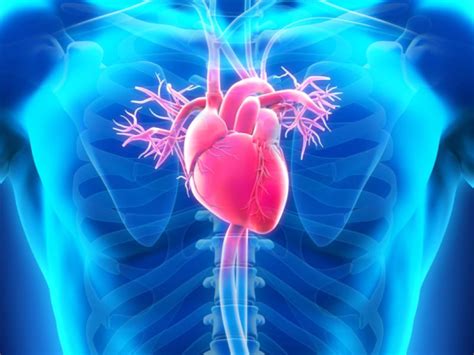 हायपरप्लास्टिक आर्टिरियोस्क्लेरोसिस के कारण क्या होती है समस्या? - हैलो ...