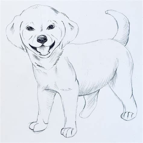 Learn to draw at Create Art Studio - Toronto's best art classes