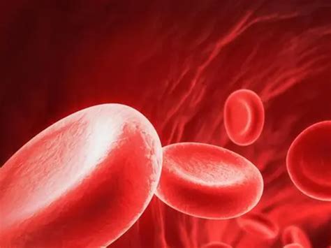 孟买血型你听过吗？世界上最稀有的血型，概率是十几万分之一,科学,科普,好看视频
