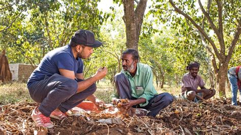 A Visit To Araku Valley, Andhra Pradesh's Coffee Haven Brewing Change