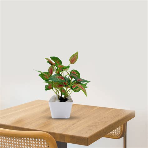 D'aromas Aglaonema Plant Real Touch Artificial Plant Without Pot – Daromas