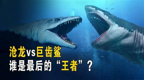 4个关于巨齿鲨的惊人发现