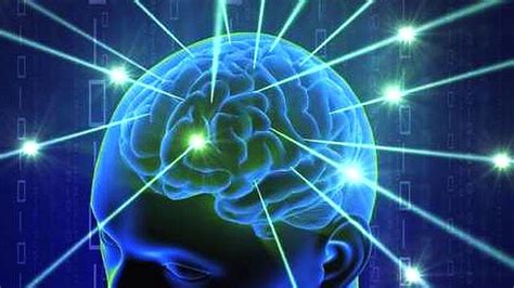 Bildergebnis für brain biotechnology