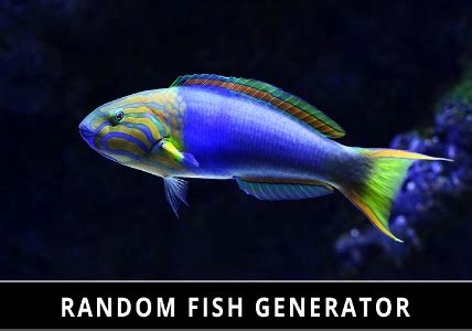 Image result for Random Fish in a Graph
