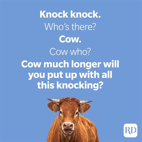 50 Cow Jokes That Are Udderly Hilarious | Reader's Digest