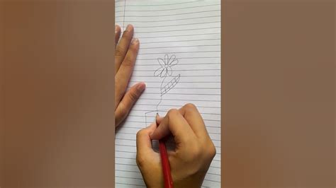 Image result for Flowerrawing