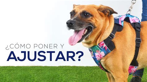 Mantenimiento y cuidado de las pecheras