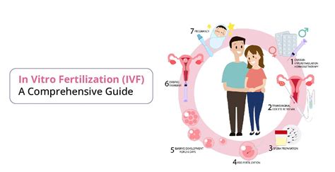 IVF Procedure Explained 的图像结果