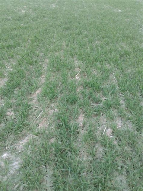 Bauernhof Ukraine Oblast Zhytomir Region Malchin in Kiew, Ukraine ...