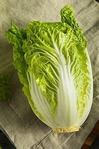 Decon Cabbage Seed Price in India - Buy Decon Cabbage Seed online at ...