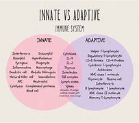 Image result for adaptive