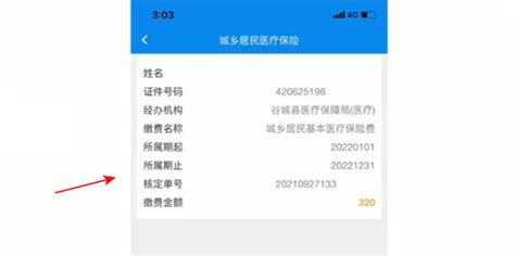 楚税通app怎么交医保_360新知
