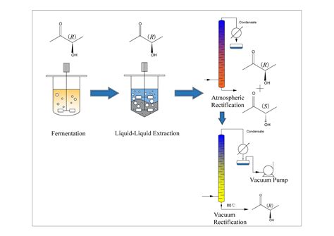 Conversion of Enantiomers during the Separation of Acetoin from ...