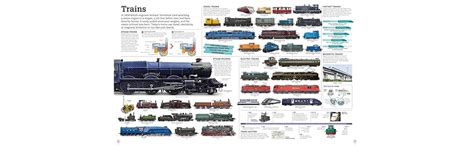 Picturepedia, Second Edition: An Encyclopedia on Every Page : DK ...