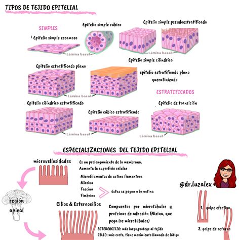Image result for Informational Data Example