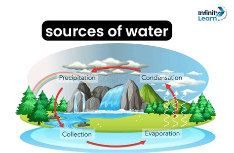 Stormwater Basics 的图像结果